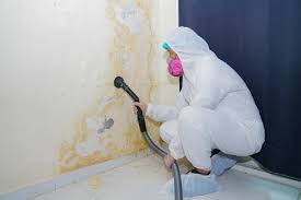 Monticello, IN Mold Removal Services Company